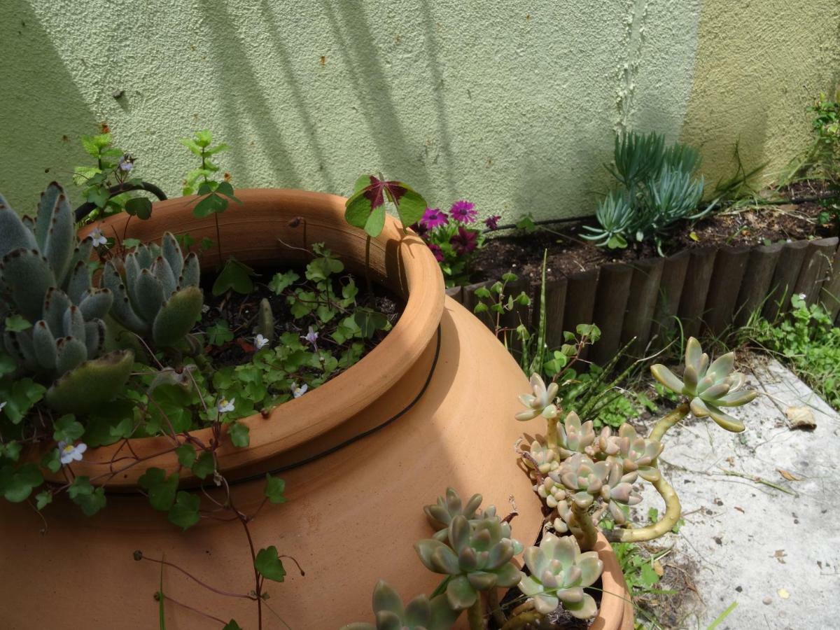 Jardin D'Olisipo - Centre Ville Lisboa Εξωτερικό φωτογραφία